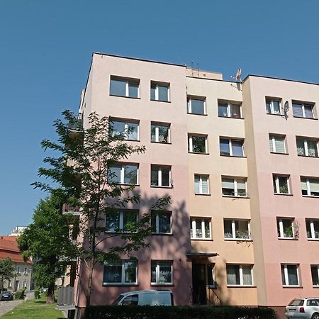 Appartement Babcares Apa Gory Izerskie à Mirsk Extérieur photo
