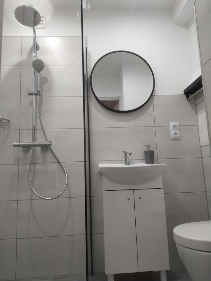 Appartement Babcares Apa Gory Izerskie à Mirsk Extérieur photo