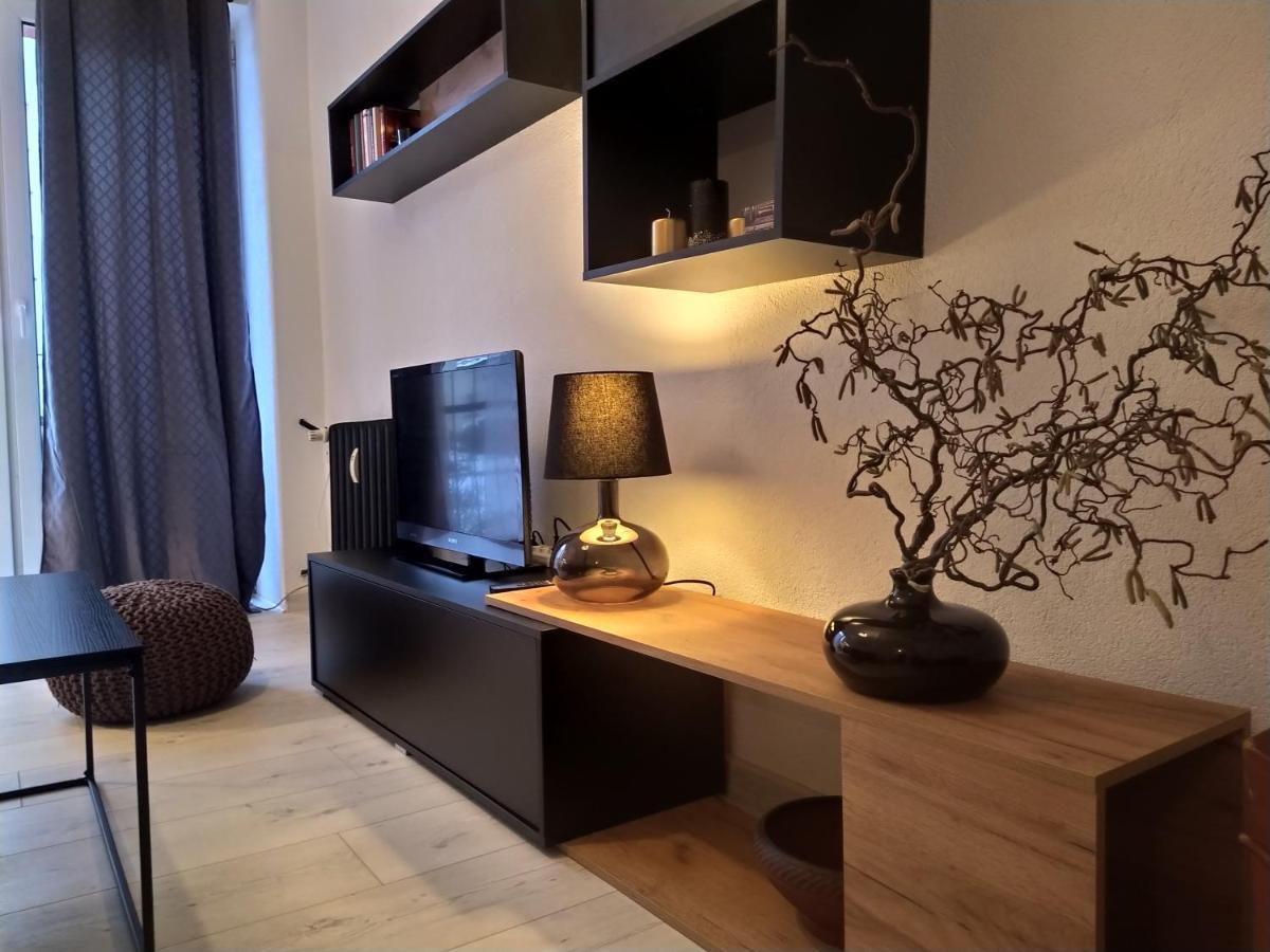 Appartement Babcares Apa Gory Izerskie à Mirsk Extérieur photo