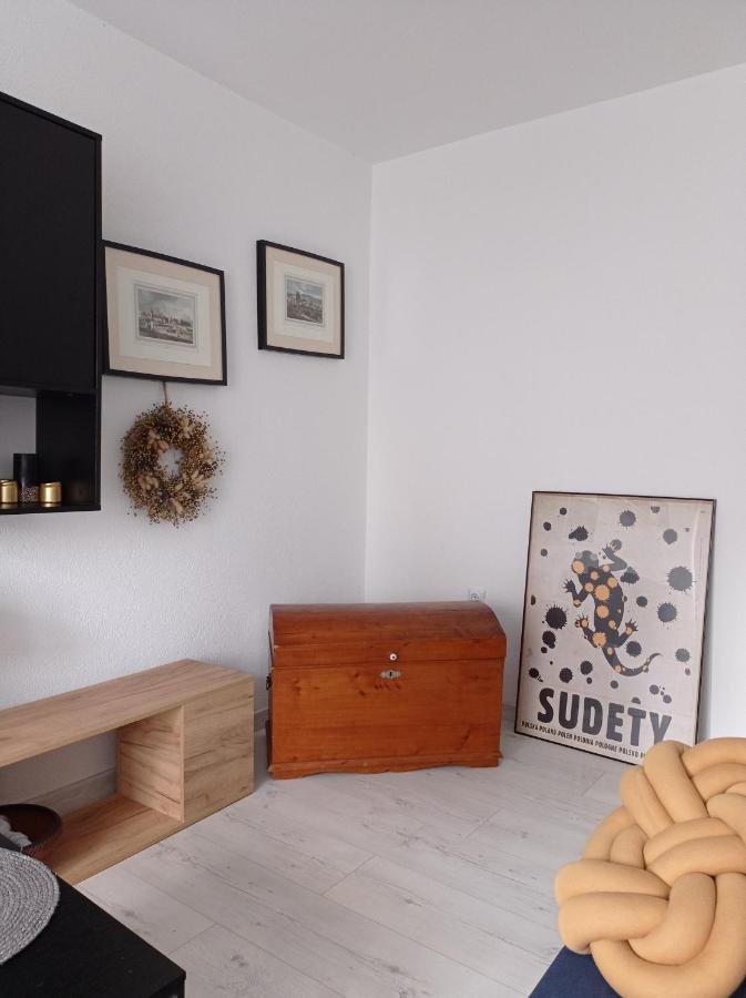 Appartement Babcares Apa Gory Izerskie à Mirsk Extérieur photo