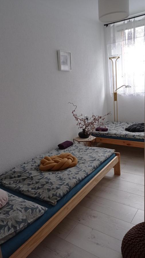 Appartement Babcares Apa Gory Izerskie à Mirsk Extérieur photo