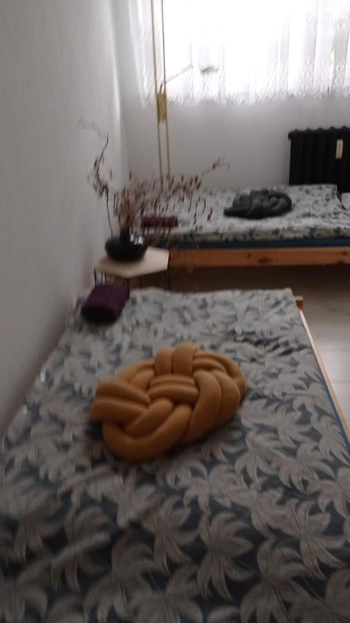 Appartement Babcares Apa Gory Izerskie à Mirsk Extérieur photo