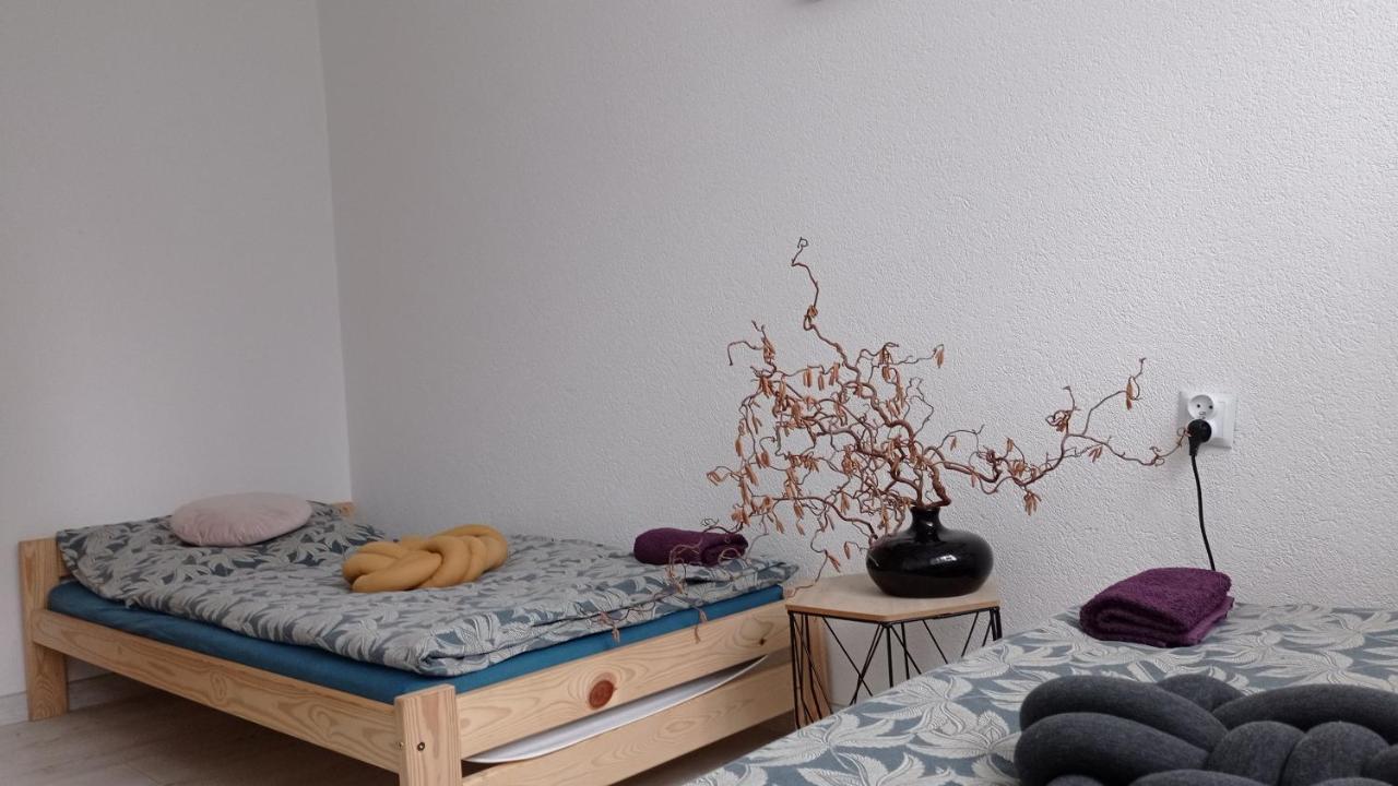 Appartement Babcares Apa Gory Izerskie à Mirsk Extérieur photo